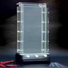 DNA���з����Ӿ��