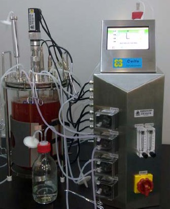 ��(sh��)�(y��n)���̈́�(d��ng)�：(x��)�����B(y��ng)���ﷴ��(y��ng)��