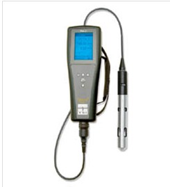 YSI Pro20�� �ܽ����y���x