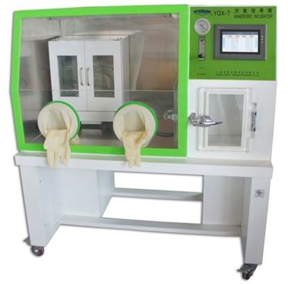 �������B(y��ng)��YQX-T