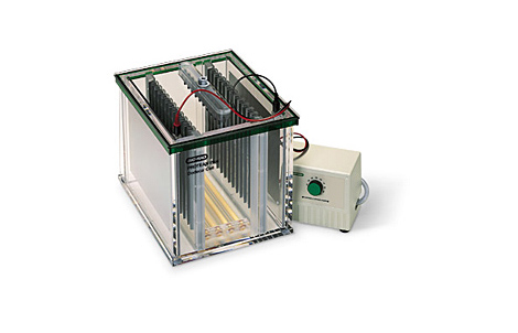 ����(l��)PROTEAN Plus Dodeca��ͨ���Ӿ��