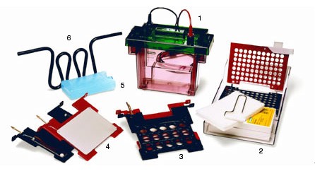 ����Criterion�Dӡ�x