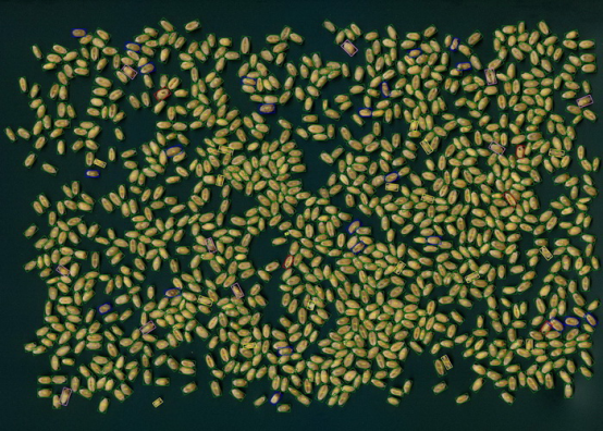 С�����^Ʒ�|(zh��)������������Ǚz�y(c��)�xSC-X��